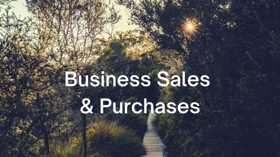 Business Sales Purchases